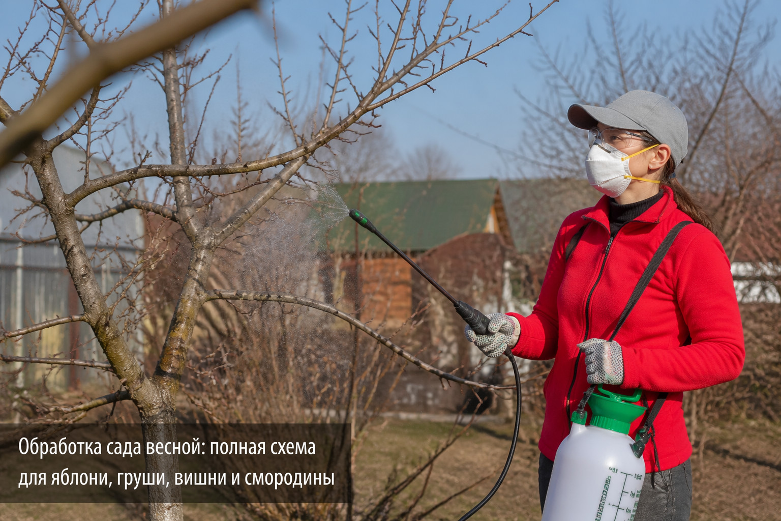 Обработка сада весной: полная схема для яблони, груши, вишни и смородины