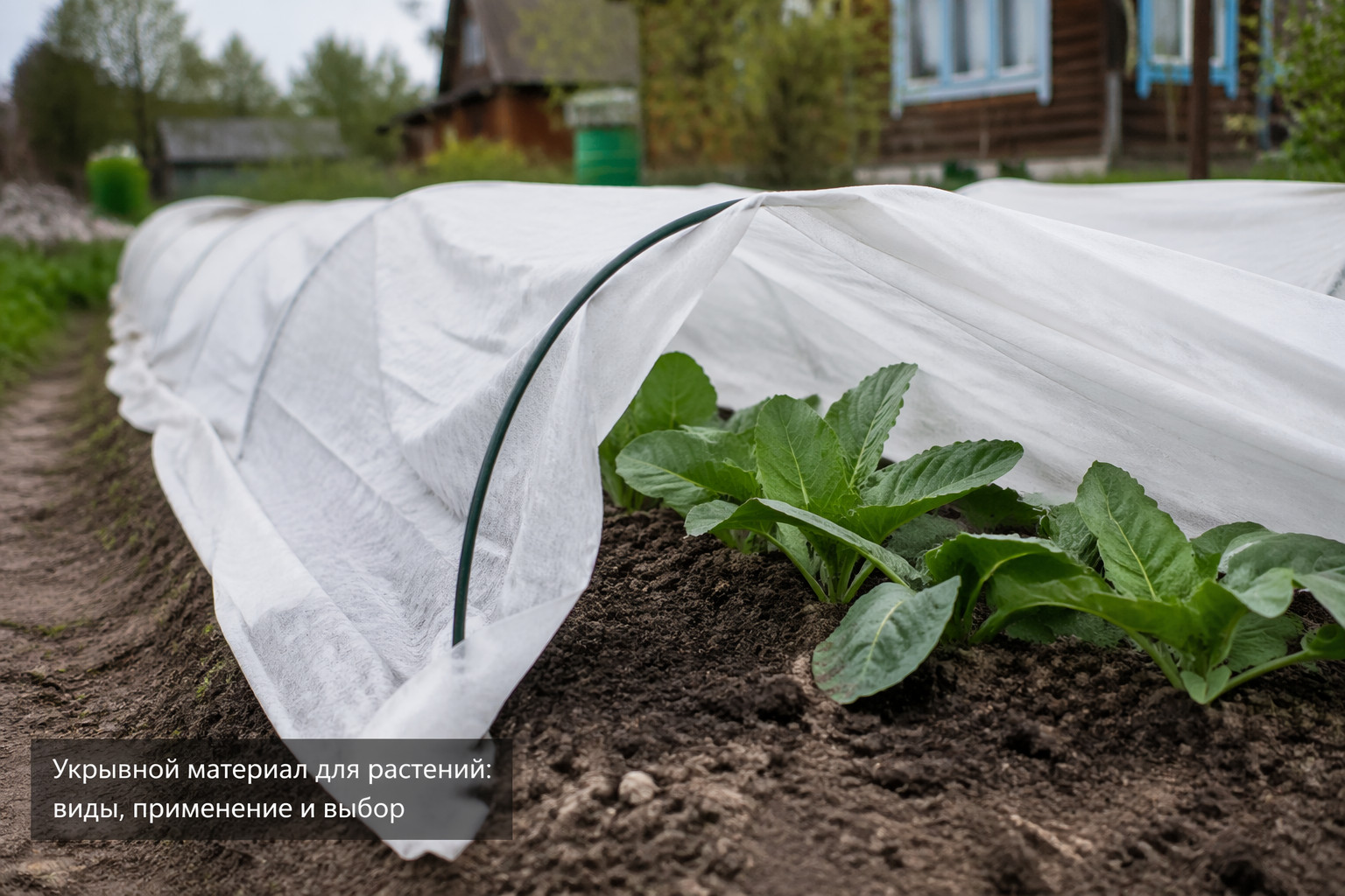 Укрывной материал для растений: виды, применение и выбор