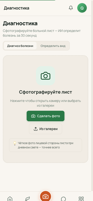 Экран приложения СадовнИИк: диагностика растения по фото